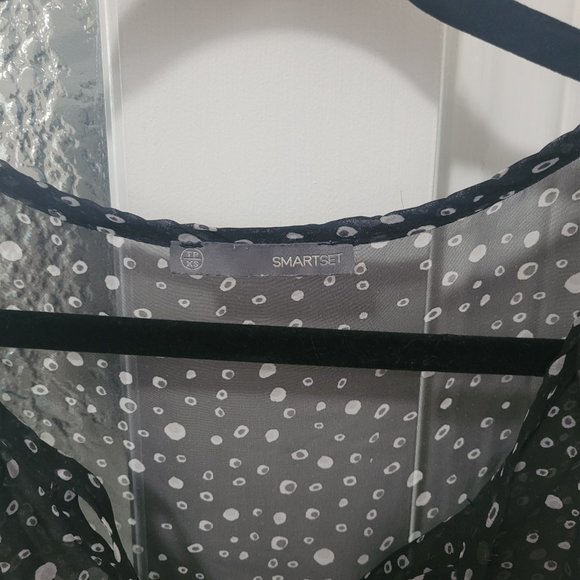 Sheer Smart Set Blouse - Picture 4 of 4